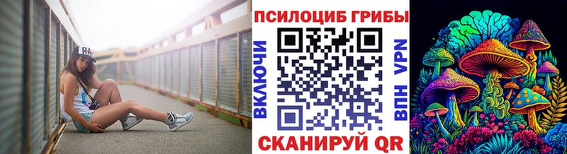 закладка  Тарко-Сале  Псилоцибиновые грибы Magic Shrooms 